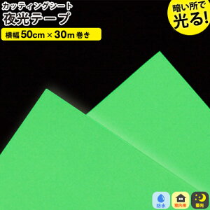 JbeBOV[g ~V[Yy50cm x 30mzSV[g dɖڗ ڈ  h h Cg  tH[ CNV[g CeA tH[V[g diy Ƌ  n 