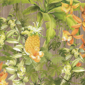 y10%OFFN[|z}XLOe[v L ǎ V[ CNV[g 23cm×5m S12 ǎ  ͂ǎ \Ă͂ǎ V[ǎ SV[g diy  k ؖ RN[g 