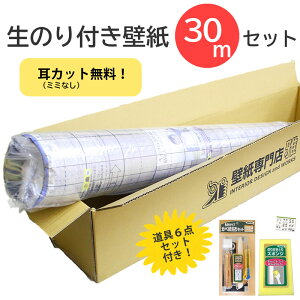 ̂t ǎ 30m {H6_t  sJbg tZbg 6p Y[J[ SLP 2025-2027 ~~Ȃ DIY  lCi VR[ SINCOL tH[ rO DIY