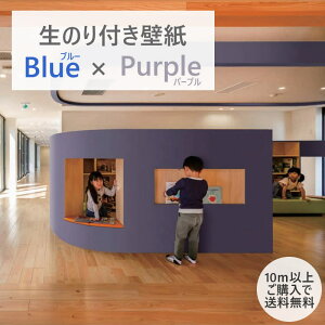 y10mȏőzǎ ̂tǎ Ζڒ R h~ X[p[n[h m Y23 u[ p[v NX fUCNX DIY tH[ 1mP