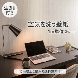 y10mȏőzǎ ̂tǎ C􂤕ǎ m runon C23 NtgC W1 2028N܂Ōp NX fUCNX DIY tH[ 1mP