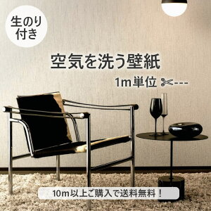 y10mȏőzǎ ̂tǎ C􂤕ǎ m runon C23 NtgC W2 2028N܂Ōp NX fUCNX DIY tH[ 1mP