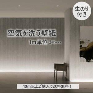 y10mȏőzǎ ̂tǎ C􂤕ǎ m runon C23 NtgC W3 2028N܂Ōp NX fUCNX DIY tH[ 1mP