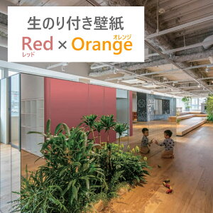 y10mȏ zǎ 1mP ̂tǎ Ζڒ R h~ X[p[n[h m Y23 bh IW NX fUCNX DIY tH[