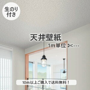 y10mȏőzǎ ̂tǎ VW V C􂤕ǎ m RH NX fUCNX DIY tH[ 1mP