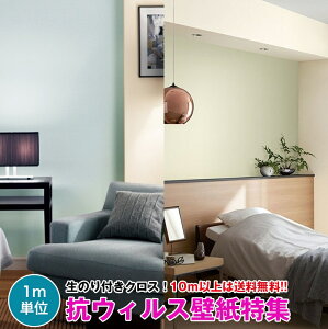 y10mȏőzREBX ǎ NX ̂tǎ fUCNX DIY tH[ TQc Sangetsu FINEyVi TH32539`zyi TH30570`TH30579z