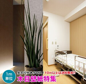 y10mȏőzؖ ǎ NX ̂tǎ fUCNX DIY tH[ TQc Sangetsu FAITHyVi TH32645`zyi TH30936`TH30941z