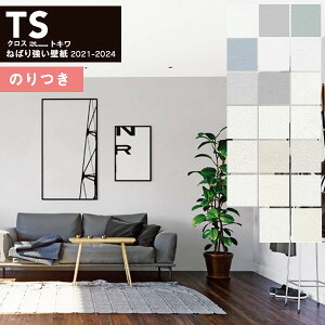 yiEXցjzǎ ̂tǎ NX gL TSNX 2021-2024 TS 501`TS 520 Ζځy3mȏ1mPʂł̔̔z