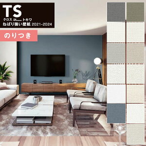 yi1s3jzǎ ̂tǎ NX gL TSNX 2021-2024 TS 521`TS 543 Dy3mȏ1mPʂł̔̔z