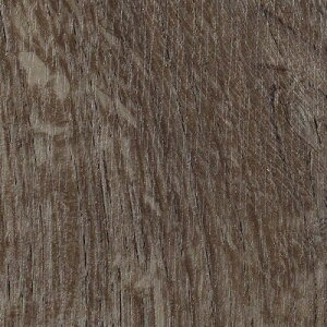 【送料無料(1都3県)】サンゲツ HOME FLOOR 2024-2027 機能性クッションフロア CMフロア リアルワイドオーク CM-12269 【50cm以上10cm単位での販売】