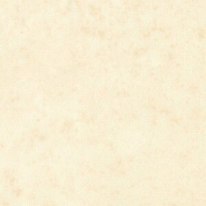 yi1s3jzTQc HOME FLOOR 2024-2027 ZpNbVtA Xg[ ^\X HM-12046 y1mȏ10cmPʂł̔̔z