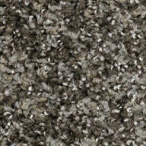 yiEXցjzTQc ^CJ[ybg DT 2023-2026 DT-9350 VM[Xm[vNII 25cm×100cm S3F DT-93501 ` DT-93503 y12ȏ1Pʂł̔̔z