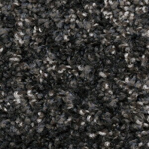 yiEXցjzTQc ^CJ[ybg DT 2023-2026 DT-9350 VM[Xm[vNII 25cm×100cm S3F DT-93501 ` DT-93503 y12ȏ1Pʂł̔̔z