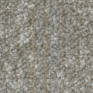 �y���������z�y��[���EX�֑Ώہz�T���Q�c �^�C���J�[�y�b�g NT700 2023-2026 NTH-7140 D-eco �C���~�i�E�A�[�X D ILLUMINA EARTH D NTH-71401 �` NTH-71408 �y1�P�[�X(20����)�P�ʂł̔̔��z