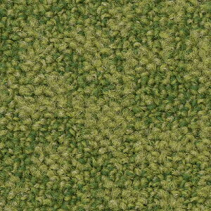 �y���������i1�s3���j�z�T���Q�c �^�C���J�[�y�b�g NT700 2023-2026 NTH-820 F-eco �O���[���X�E�O���X F GRORASS GRASS F NTH-82012 �` NTH-82013 �y20���ȏ�1���P�ʂł̔̔��z