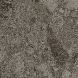 yi1s3jzTQc tA^C FLOOR TILE 2023-2026 Xg[ANZg ObT`Fb| IS-2048 IS-2049 IS-2050 y18ȏ1Pʂł̔̔z