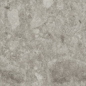 yiEXցjzTQc tA^C FLOOR TILE 2023-2026 Xg[ANZg ObT`Fb| IS-2048 IS-2049 IS-2050 y18ȏ1Pʂł̔̔z