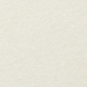 yiEXցjzTQc tA^C FLOOR TILE 2023-2026 Xg[ANZg J[TXg[ IS-2094 IS-2095 IS-2096 y40ȏ1Pʂł̔̔z