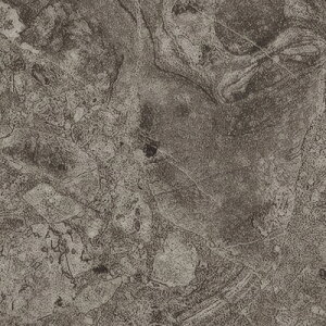 yi1s3jzTQc tA^C FLOOR TILE 2023-2026 ObT`Fb|WF Kirarita L^ KT-2026 KT-2027 KT-2028 y18ȏ1Pʂł̔̔z