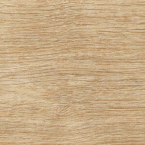 yzy[EX֑ΏہzTQc tA^C FLOOR TILE 2023-2026 WI[N ؖڒ WD-2060 ` WD-2061 y1P[XPʂł̔̔zKi