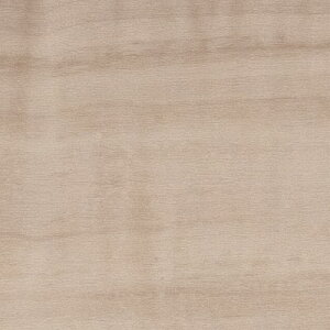 yzy[EX֑ΏہzTQc tA^C FLOOR TILE 2023-2026 VL[Cv ؖڒ WD-2077 ` WD-2078 y1P[XPʂł̔̔zKi