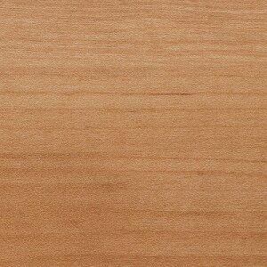 yzy[EX֑ΏہzTQc tA^C FLOOR TILE 2023-2026 Zio[` ؖڒ WD-2092 ` WD-2094 y1P[XPʂł̔̔zKi