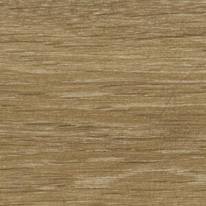 yzy[EX֑ΏہzTQc tA^C FLOOR TILE 2023-2026 IbfBI[N ؖڒ WD-2124 ` WD-2125 y1P[XPʂł̔̔zKi