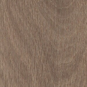 yzy[EX֑Ώہz TQc OT^C vol.10 u~ѓdh~rj^C tA^C 5mm `AI[N S2F OT-5315 OT-5316 y1P[XPʂł̔̔z