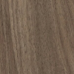 yzy[EX֑Ώہz TQc OT^C vol.10 u~ѓdh~rj^C tA^C 5mm hCEHibg S4F OT-5323 OT-5324 OT-5325 OT-5326 y1P[XPʂł̔̔z