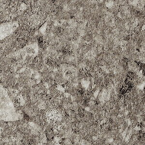 yiEXցjzTQc OT^C vol.10 u~ѓdh~rj^C tA^C 5mm `Fb| S2F OT-5350 OT-5351 y10ȏ1Pʂ̔̔z