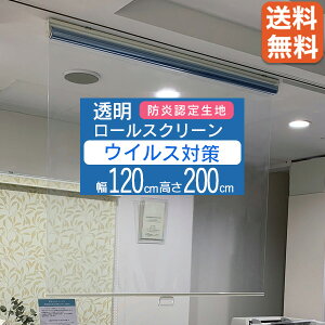 yz^`JuCh [XN[KiiTCYy120cm×200cmzRS9111ECX΍ 򖗊h~ hF萶nS̍胁[J[