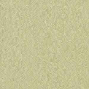 シンコール 椅子生地 レザー FURNISHING LEATHER ファニシングレザー 2024 エーデルスムース L-6170 〜 L-6189 【1m以上10cm単位での販売】送料都度見積もり