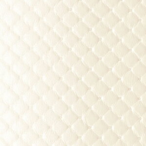 VR[ ֎qn U[ FURNISHING LEATHER t@jVOU[ 2024 \tBAW L-6209 L-6210 L-6211 L-6212 y1mȏ10cmPʂł̔̔zsxς