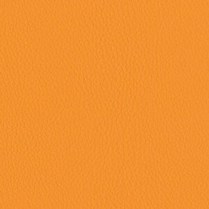 VR[ ֎qn U[ FURNISHING LEATHER t@jVOU[ 2024 XxlEs^bg L-6369 ` L-6379 y1mȏ10cmPʂł̔̔zsxς