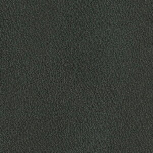 シンコール 椅子生地 レザー FURNISHING LEATHER ファニシングレザー 2024 スベランネ・ピタット L-6369 〜 L-6379 【1m以上10cm単位での販売】送料都度見積もり