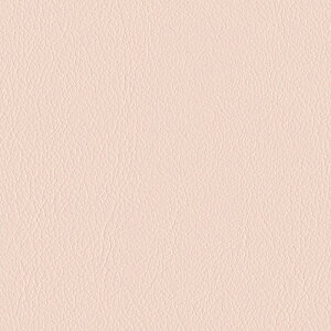 VR[ ֎qn U[ FURNISHING LEATHER t@jVOU[ 2024 I[}CeB[ L-6526 ` L-6561 y1mȏ10cmPʂł̔̔zsxς