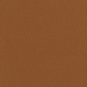 VR[ ֎qn U[ FURNISHING LEATHER t@jVOU[ 2024 NYII L-6673 ` L-6712 y1mȏ10cmPʂł̔̔zsxς