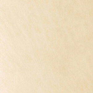 VR[ ֎qn U[ FURNISHING LEATHER t@jVOU[ 2024 TZu L-6740 ` L-6762 y1mȏ10cmPʂł̔̔zsxς