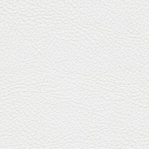 �y�����������i��EX�ցj�z�T���Q�c �֎q���n 2024-2028 UP �V���Z�e�B�b�N���U�[ �J���[���U�[ UP5001 �` UP5040 �y1m�ȏ�10cm�P�ʂł̔̔��z