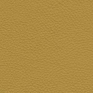 yi1s3jzTQc ֎qn 2024-2028 UP VZeBbNU[ J[U[ UP5041 ` UP5070 y1mȏ10cmPʂł̔̔z