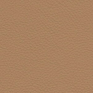 yi1s3jzTQc ֎qn 2024-2028 UP VZeBbNU[ J[U[ UP5041 ` UP5070 y1mȏ10cmPʂł̔̔z