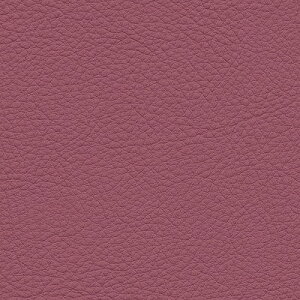 yiEXցjzTQc ֎qn 2024-2028 UP VZeBbNU[ J[U[ UP5071 ` UP5110 y1mȏ10cmPʂł̔̔z