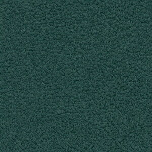 yi1s3jzTQc ֎qn 2024-2028 UP VZeBbNU[ J[U[ UP5111 ` UP5150 y1mȏ10cmPʂł̔̔z