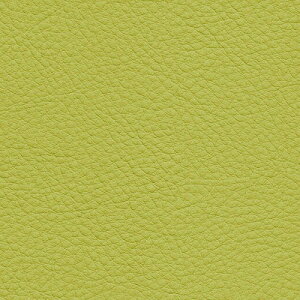 yi1s3jzTQc ֎qn 2024-2028 UP VZeBbNU[ J[U[ UP5111 ` UP5150 y1mȏ10cmPʂł̔̔z