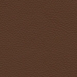 yiEXցjzTQc ֎qn 2024-2028 UP VZeBbNU[ J[pbgII RECX UP5181 ` UP5186 y1mȏ10cmPʂł̔̔z