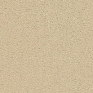 yiEXցjzTQc ֎qn 2024-2028 UP VZeBbNU[ J[pbgII RECX UP5181 ` UP5186 y1mȏ10cmPʂł̔̔z