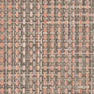 yiEXցjzTQc ֎qn 2024-2028 UP L-eNX`[ i`NX UP5343 ` UP5348 y1mȏ10cmPʂł̔̔zKi