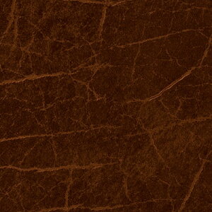 yi1s3jzTQc ֎qn 2024-2028 UP L-eNX`[ NbN UP5438 ` UP5442 y1mȏ10cmPʂł̔̔zKi