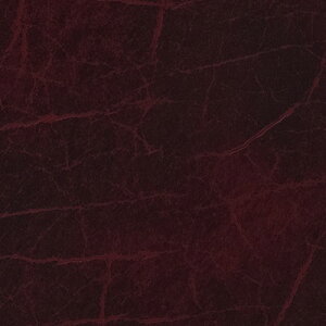 yiEXցjzTQc ֎qn 2024-2028 UP L-eNX`[ NbN UP5438 ` UP5442 y1mȏ10cmPʂł̔̔zKi