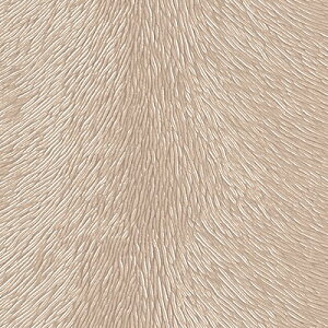 yiEXցjzTQc ֎qn 2024-2028 UP L-p^[ ~NE[h UP5456 ` UP5460 y1mȏ10cmPʂł̔̔zKi